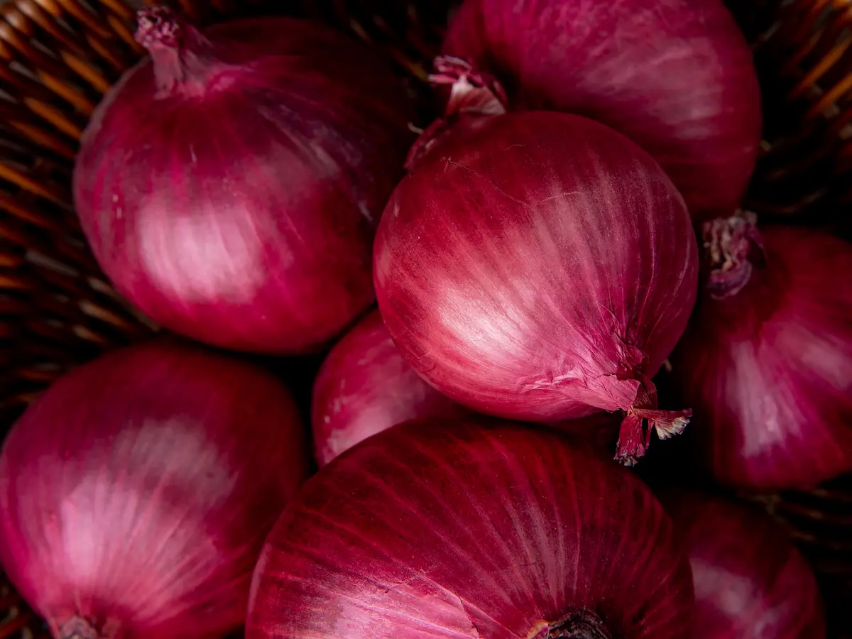 Red onions in mesh bags